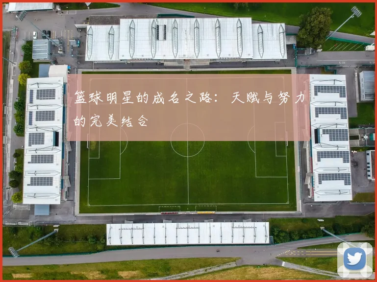 篮球明星的成名之路：天赋与努力的完美结合